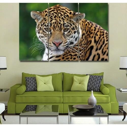 Male leopard observing prey 3 piece KIT HD Canvas Painting Modern Home Decoration Living Room Wall Decor Picture