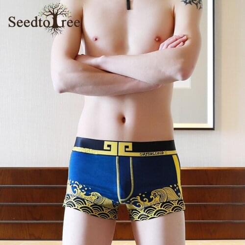 SeedtoTree Men's Briefs