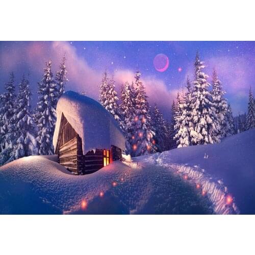 2020 Photography backgrounds winter vinyl fairy forest cabin newborn photo backdrops for photo Studio kits photophone lv-2343
