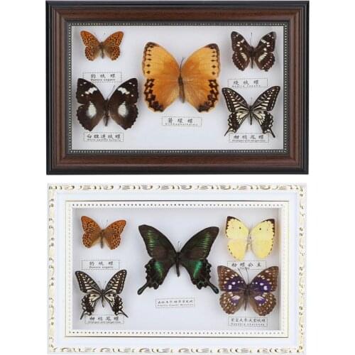 Birthday Gift Exquisite 5pcs Butterflies Photo Frame Specimen Craft Gift Home Decor Ornament Home Decorations