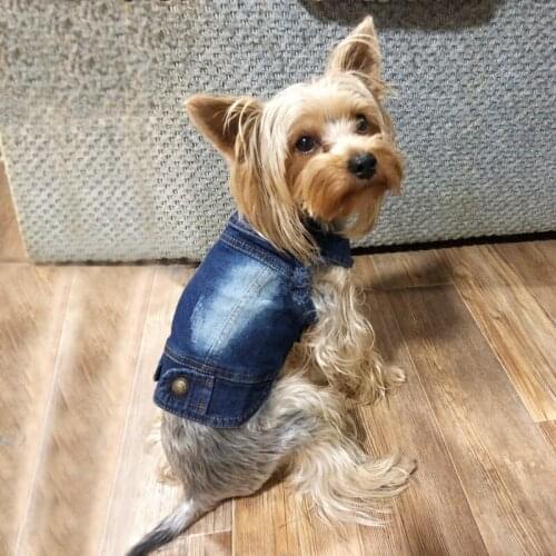Spring denim blue puppy jacket vest with sleeveless turn down collar for yorkshire chihuahua dogs-xs--xxl