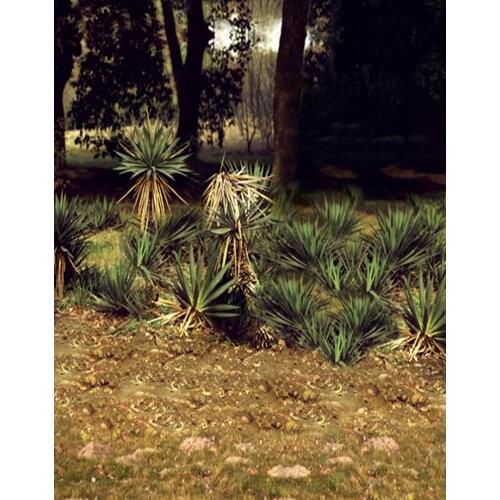 150x210cm Photo Background Landscape Green Grass Tree Photography Backdrops Photo Props Studio Background 5x7ft
