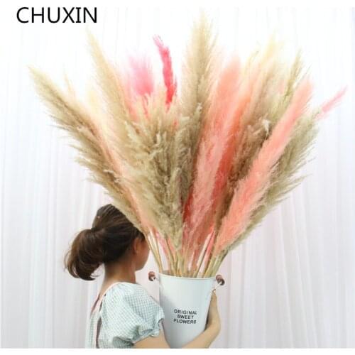 100cm 20PCS Big Pampas Grass Real Natural Dried Plants Home Decor Wedding Decoration For Manor Fence Background 1M Dried Plants
