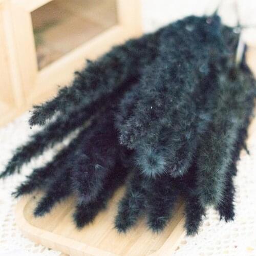 Eco-friendly DIY Floral Arrangement Natural Pampas Grass Home Decor