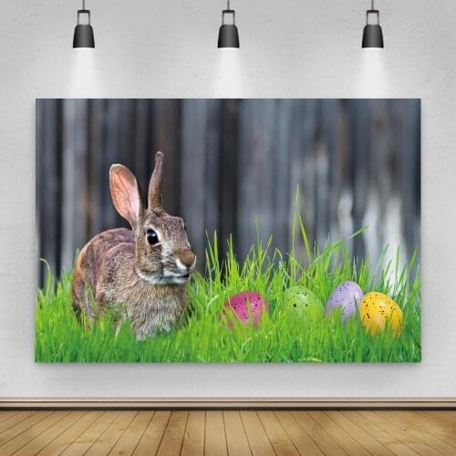 Photo Background Blue Wood Wall Fence Spring Easter Green Grass Potted Flower Garden Baby Kid Photography Backdrop Photo Studio