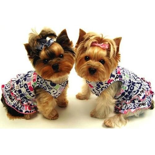 Diamond painting dog poodle, 5d diy diamond painting dog