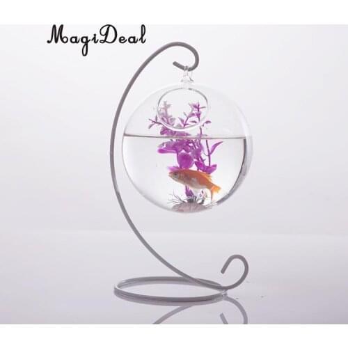 MagiDeal Heat-Resistant Glass Ball Shape Wall Hanging Flower Vase Plant Bottle Home Bedroom Living Room Decor 10cm Friend Gifts