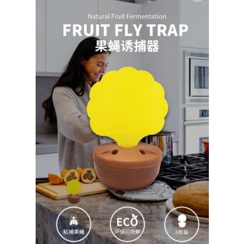 Household kitchen environmental protection biodegradable highly effective and powerful sticky fruit flies with 3fly stickers J06