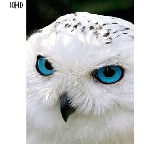MHD Diy diamond painting cross stitch kits full 5D diamond embroidery White Owl icon diamond mosaic picture Home Decoration