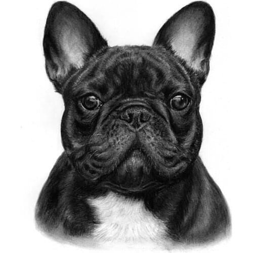 100%Diamond painting French bulldog animal crystal embroidery beads 5d full round cross stitch kits handwork mosaic art