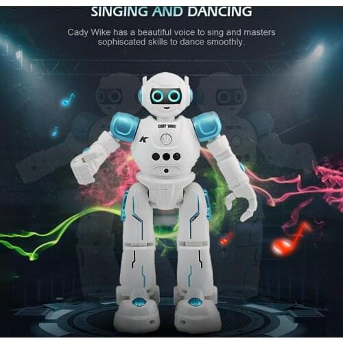 AIBODUO Radio Controlled Robots