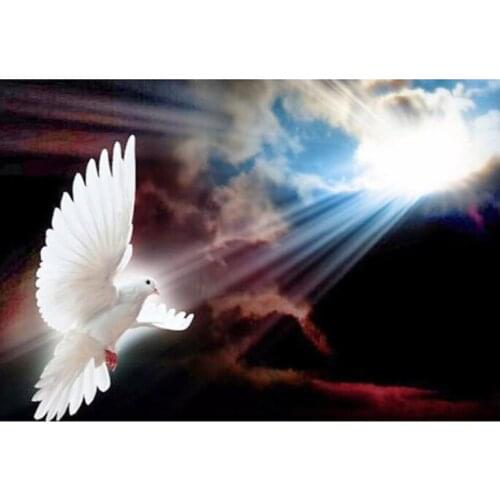 Full diamond painting pigeon bird embroidery mosaic art diamond dotz diy rhinestone picture puzzle tapestry wall decor stickers