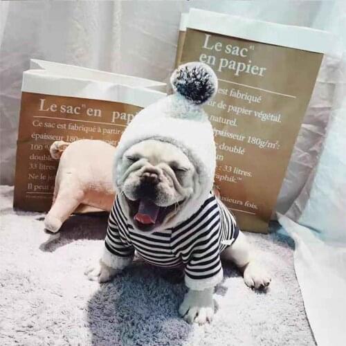 Winter Warm Dog Clothes for Small Dogs Cotton Hoodies for Chihuahua Striped Coat for French Bulldog Yorkshire Pet Costume XXL
