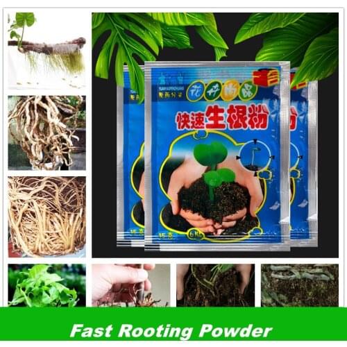 3 bags Plant growth regulators Fast growing roots sedling strong recovery root vigor germination aid fertilizer