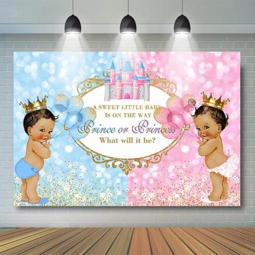 Royal Prince or Princess Gender Reveal Party Decor Little Girl Boy Background Pink or Blue Pink Baby Shower Party Banner