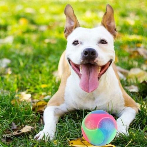 PERNEAKY Products For Dogs