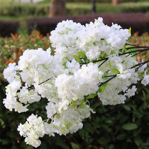 Artificial 1 Branchlet High-end Simulation Cherry Blossoms Plant Flowers Japanese-style Fake Wedding Home Decoration