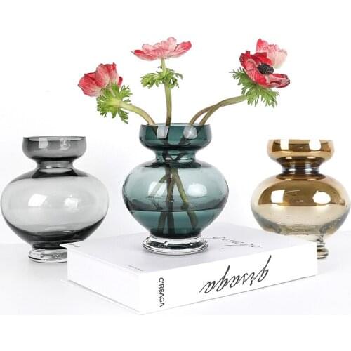 The New Nordic European Light Luxury Style Transparent Glass Vase Nordic Ornaments Home Decoration Terrarium