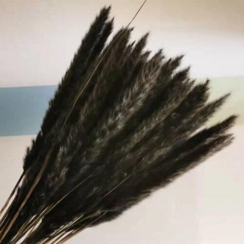 Natural Dried Flowers Black Pampas Grass White Rabbit Tail Grass Bouquet Home Decor Birthday Party Decoration Trawa Pampasowa