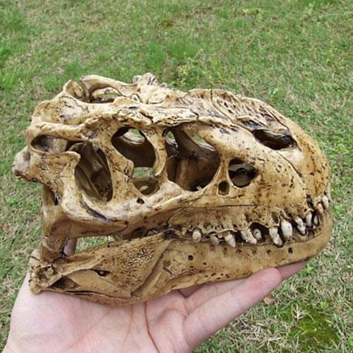 Resin dinosaur rex skull model rex skull specimen simulation model dinosaur model