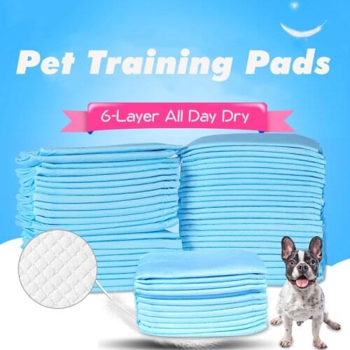 All Day Premium Dog Training Pee Pads 6-Layer Ultra Absorbent Diaper Cage Mat Unscented Disposable Underpads for Puppy Large Pet