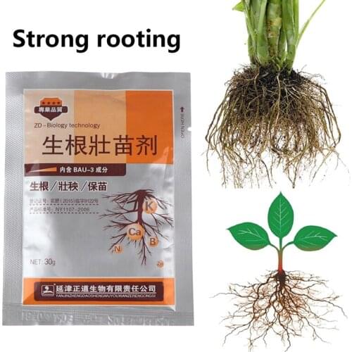 30g Plants Fast Rooting Strong Germination Aid Rapid Seedling Agent Fertilizer