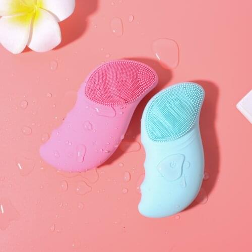 Vieruodis Electric Face Brushes