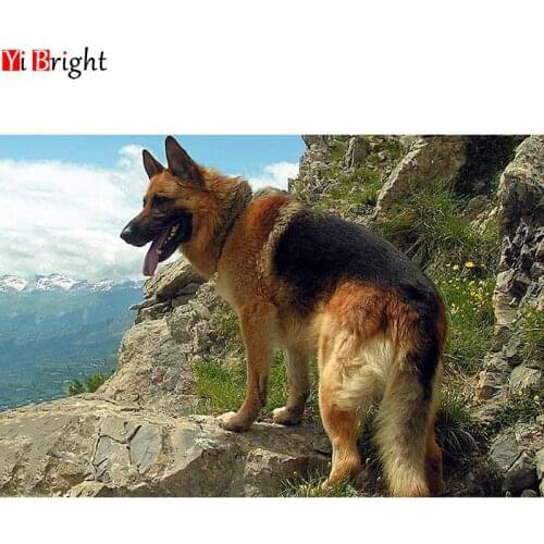 Картины-раскраски по номерам YI BRIGHT China At AliExpress