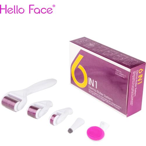 6 in 1 DRS Dermaroller Beard Roller Face Roller Derma Rolling System Microneedling Kit Dermaroller Kit For Scalp Hair Growth