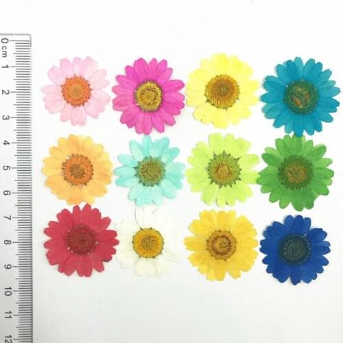 12Pcs Pressed Dried Natural Flower Epoxy Resin Nail Craft DIY Phone Decoration