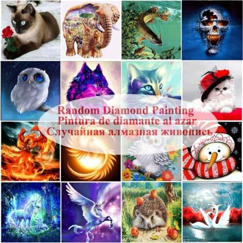 DIY Creative Gift 1Pack Mystery Gift Pack Surprise Box 10000+ Different Diamond Paintings Sets Random 1pcs Diamond Art Painting