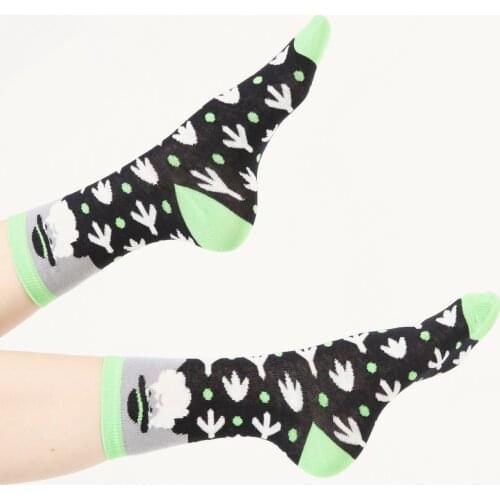 3 pair from turkey high quality cotton happy socks womens summer lot pack wholesale charles darwin animated funny socs design