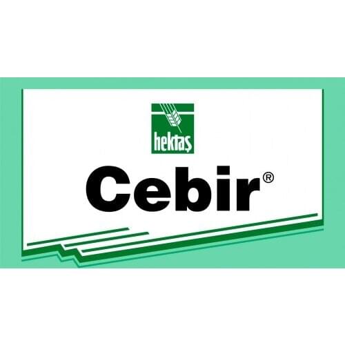 Cebir® 1 Lt