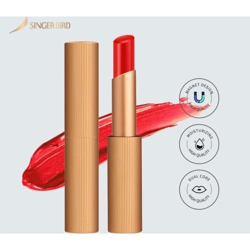 Lip Makeup Matte Lipstick Silk Love Lipstick Moisture Cosmetic Red Lip Matte Lipstick Waterproof Magnetic Design Lips Makeup