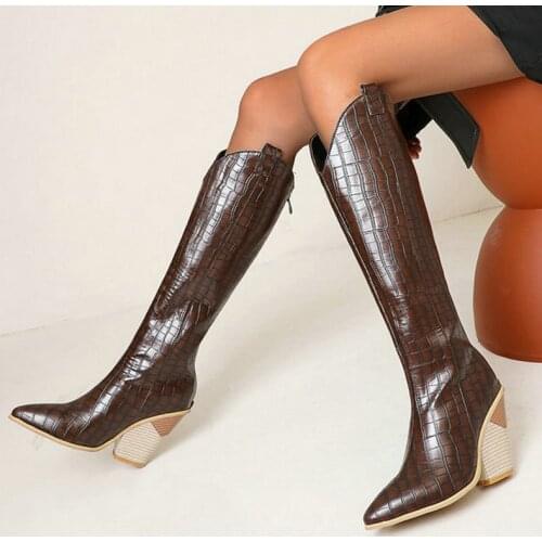 Brown Blue Winter Women Western Boots Wedges Heel Pointed Toe Women Knee High Boots 2020 Fashion Back Zipper Women Winter Shoes