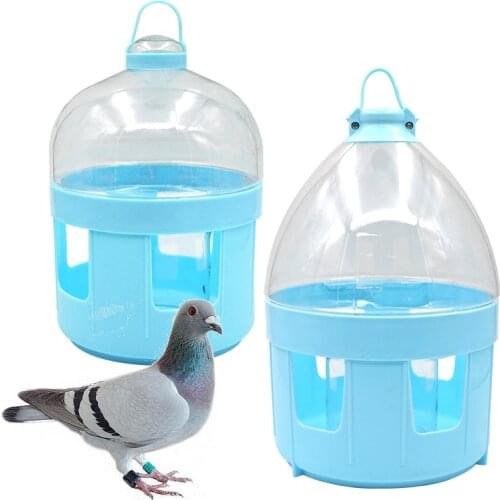 2l/4L Pigeon Water Dispenser Handle Drinker Bottle For Dove Birds Accessorries for Conure Lovebirds African Greys