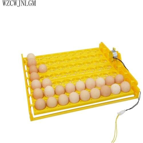 63 Birds Eggs Incubator Tools Quail Pigeon Parrot And Other Birds Automatically Turn The Eggs Incubator Equipment220v-110v 1pcs