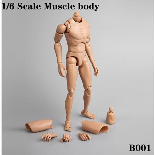 1/6 Scale B001 B002 B005 B006 B007 Male Chest Body Model Man Muscular Build for 12" Action Figure Head Body Toys Model Display
