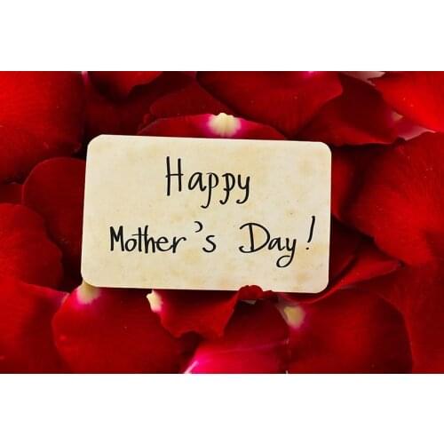 Rose petal Mothers day background photography vinyl Mum portrait backdrops for photo studio kits background fotografia lv-143