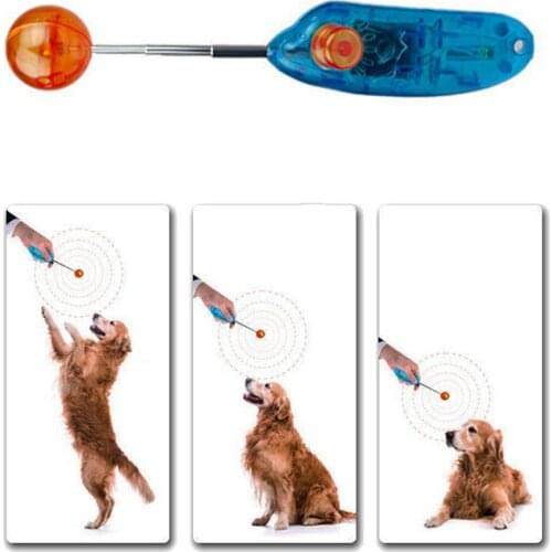 Behogar Dog Training Collars And Dog Repellents