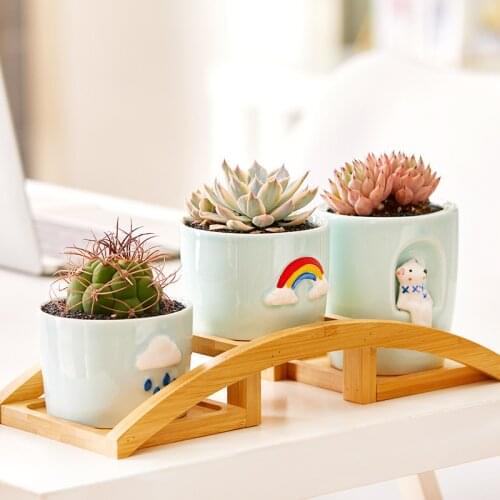Cartoon animal cactus ceramic pot Balcony decorations Suculentas plant pots Maceta ceramica Rainbow Clouds garden flower pot