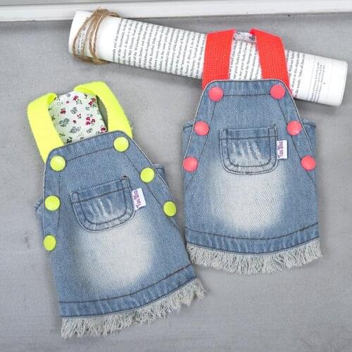 Luxury Dog Clothes Female Dog Clothes Pet Fluorescent Buckle Denim Strap Skirt Dog Clothes Autumn Trendy Brand Ins Dress Teddy