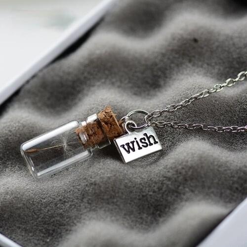 Wish Real Natural Dandelion Seed Necklace Dried Flower Necklace Seed in Glass Bottle Long Chain Handmade Jewelry Friends Gift