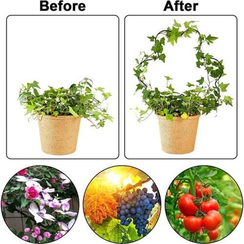 Vine Climbing Support Rack Iron Rust Heart-shaped Metal Wrought Iron Fixed Rod Trellis Creative Climbing Vine Rack Dropshipping