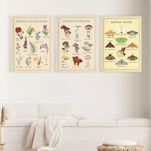 Colorful British Moths Animals Nordic Posters and Prints Wall Art Canvas Painting Wall Pictures for Living Room Home Decor