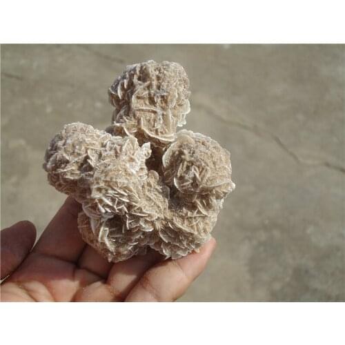 230g Natural Desert Rose Specimen! Metaphysical or Display LA1076
