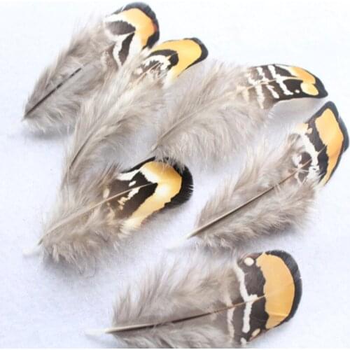 Hot Selling 10 pcs Pretty Natural Pheasant Feathers 5-10 cm DIY Jewelry Clothing Hat Christmas Holiday Decorative