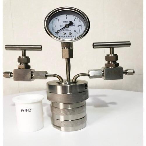 Hydrothermal synthesis Autoclave Reactor vessel +inlet outlet gauge 100ml 6Mpa