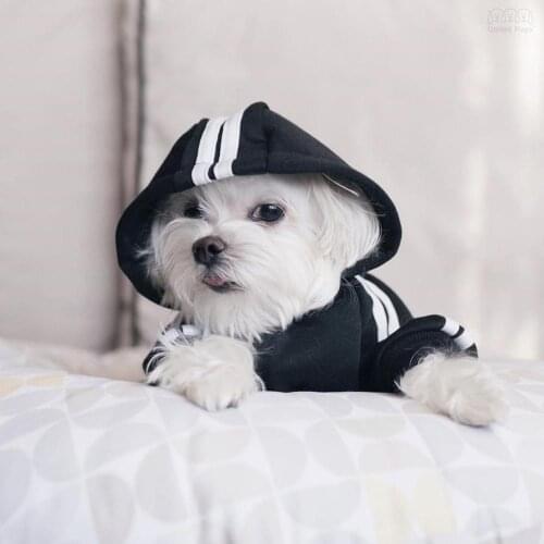 Pet Dog Clothes Puppy Winter Warm Coat Jacket Hoodie Sweater Small Medium Large Dogs Schnauzer French Bulldog Pug Teddy HHC01