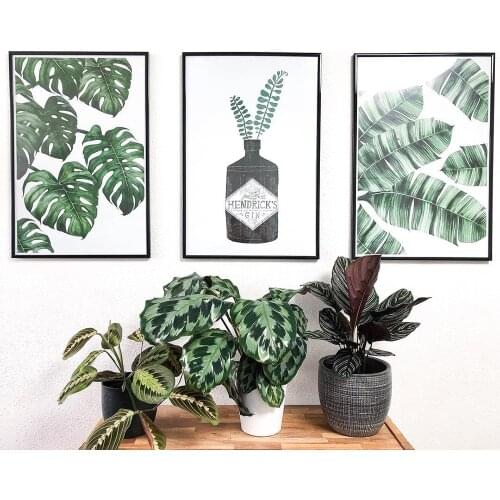 Leaves Black Gin Wall Art Canvas Painting Green Style Plant Nordic Posters and Prints Decorative Picture Modern Home Decoration